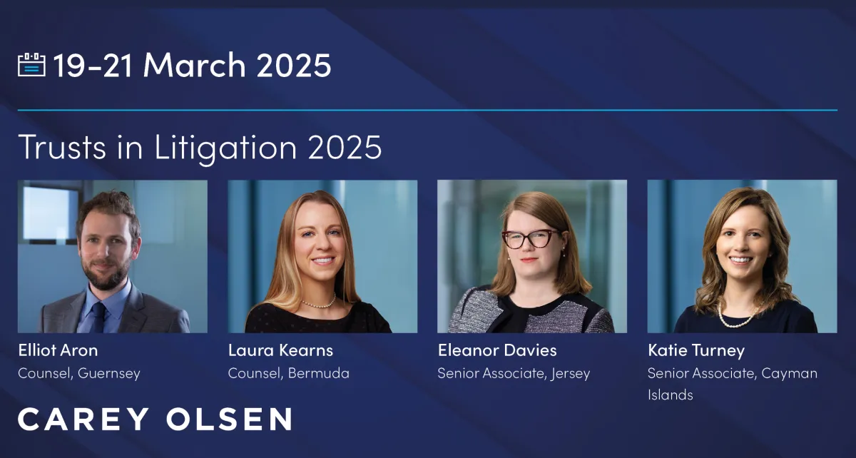 Trusts in Litigation 2025