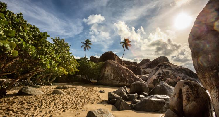 BVI Beach Cove