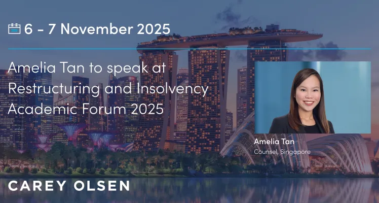Amelia Tan to speak at Restructuring and Insolvency Academic Forum 2025