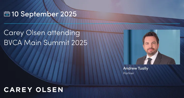 BVCA main summit 2025 