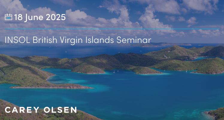 INSOL BVI seminar