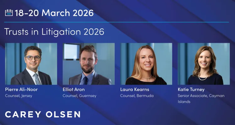 Trusts in Litigation 