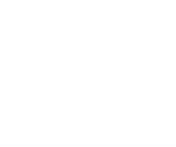 Blank